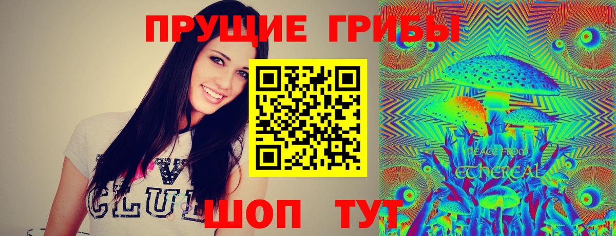Псилоцибиновые грибы Psilocybe Ишим